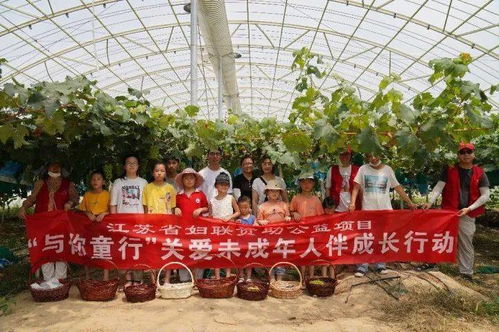 農(nóng)業(yè)技術(shù)新突破 奇特葡萄品種的首次亮相